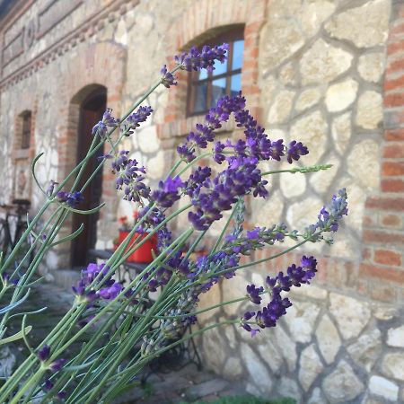 Levendula Porta Es Pajtaszinhaz Hotel Orfű Buitenkant foto